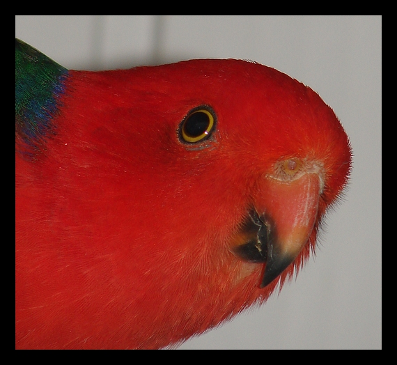 Entrer